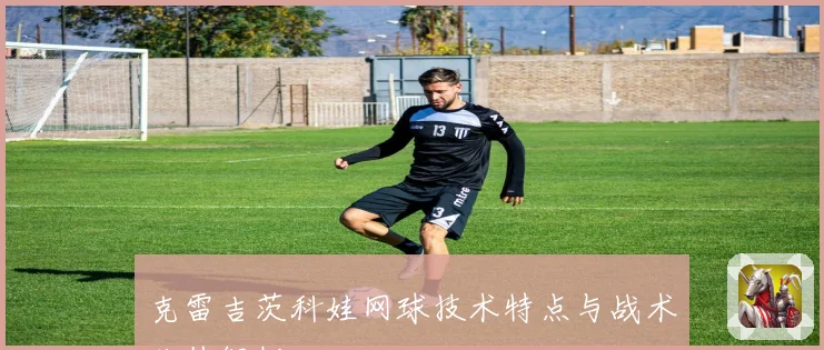 克雷吉茨科娃网球技术特点与战术价值解析