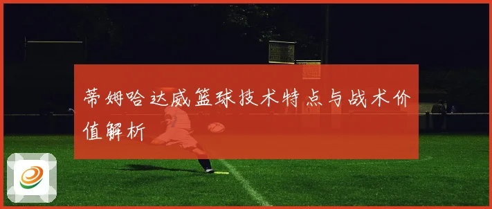 蒂姆哈达威篮球技术特点与战术价值解析