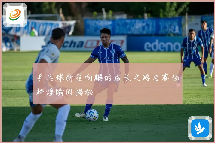 乒乓球新星向鹏的成长之路与赛场辉煌瞬间揭秘