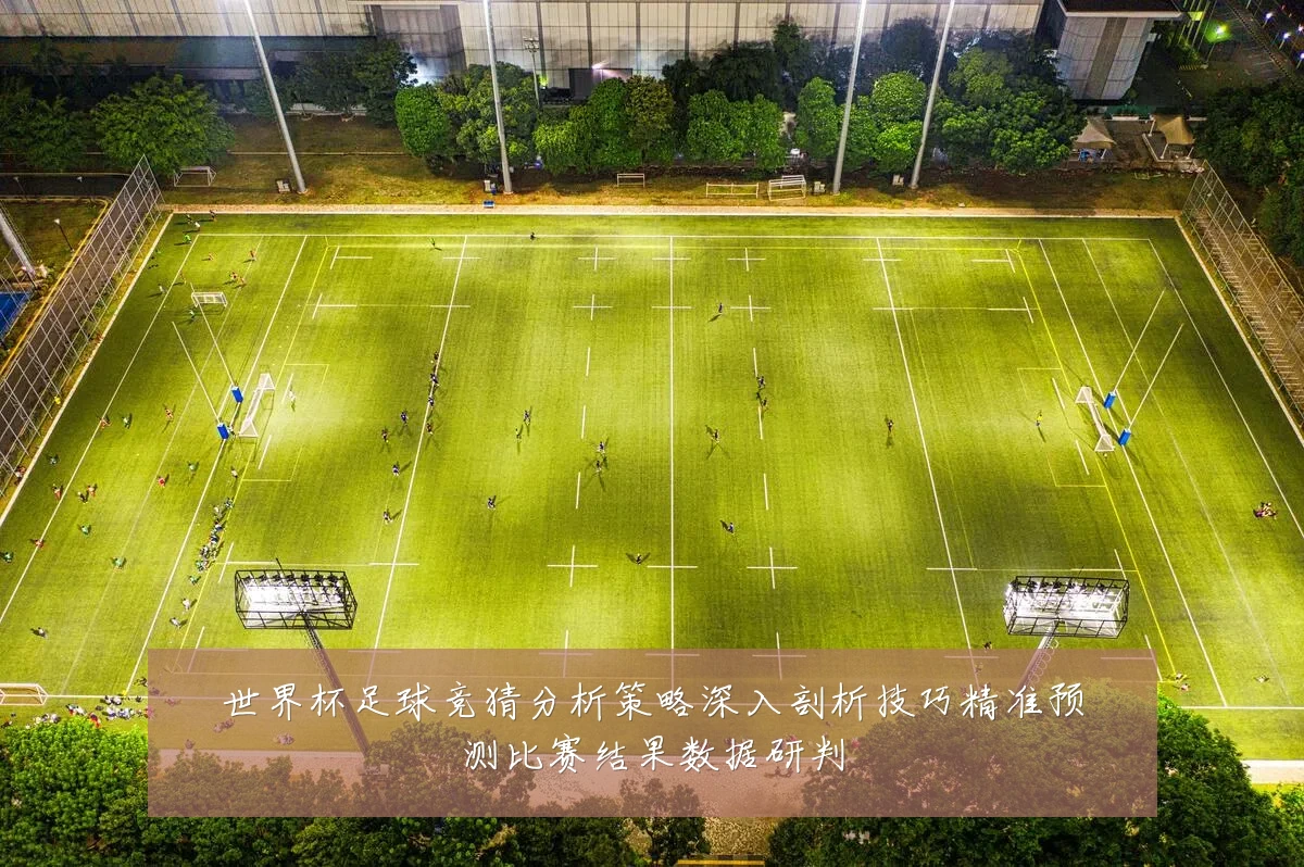 世界杯足球竞猜分析策略深入剖析技巧精准预测比赛结果数据研判